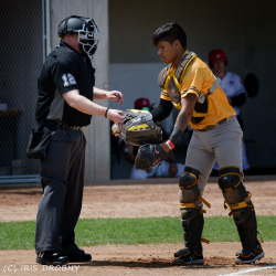 230602 Reds Hue 0560