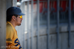 230602 Reds Hue 0588