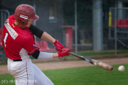 240530 Reds Hedgehogs 0032