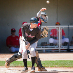 240530 Reds Hedgehogs 0069