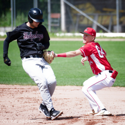 240530 Reds Hedgehogs 0076