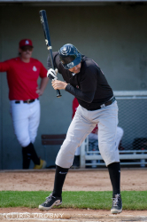 240530 Reds Hedgehogs 0088