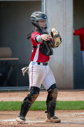 240530 Reds Hedgehogs 0089