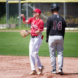 240530 Reds Hedgehogs 0093