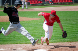 240530 Reds Hedgehogs 0141