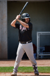 240530 Reds Hedgehogs 0148