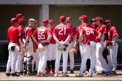 240530 Reds Hedgehogs 0164