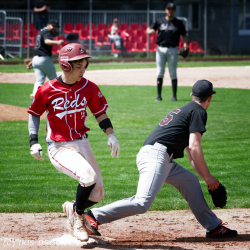 240530 Reds Hedgehogs 0179