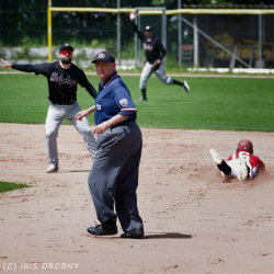 240530 Reds Hedgehogs 0183