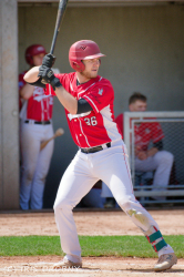 240530 Reds Hedgehogs 0195