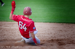 240530 Reds Hedgehogs 0339