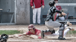 240530 Reds Hedgehogs 0366