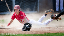 240530 Reds Hedgehogs 0374