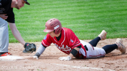 240530 Reds Hedgehogs 0389