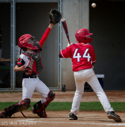 240707 Reds Tornados 0073