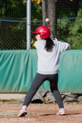 241012 Rusty Cup 0382