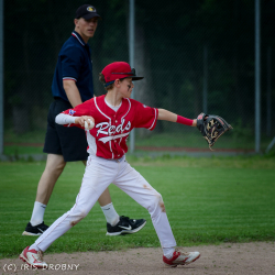 240706 Reds Tornados 0472