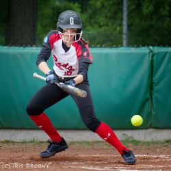 240630 Reds Tornados 0167