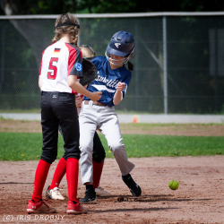 240623 Reds Raubritter 0070