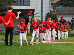 240922 Tiny Reds HD 0001