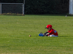 240922 Tiny Reds HD 0003