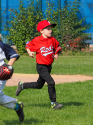 240922 Tiny Reds HD 0005