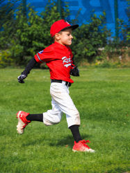 240922 Tiny Reds HD 0006