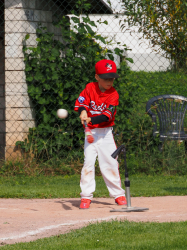 240922 Tiny Reds HD 0007