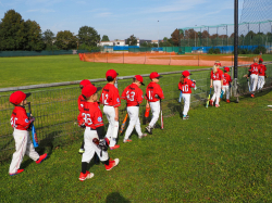 240922 Tiny Reds HD 0009