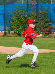 240922 Tiny Reds HD 0011