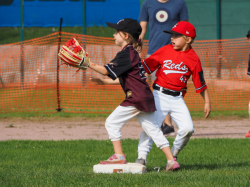 240922 Tiny Reds HD 0013