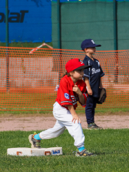 240922 Tiny Reds HD 0016