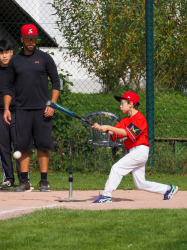 240922 Tiny Reds HD 0017