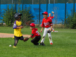 240922 Tiny Reds HD 0018