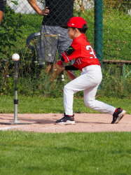 240922 Tiny Reds HD 0022