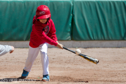 240615 Reds Poppenweiler 0219